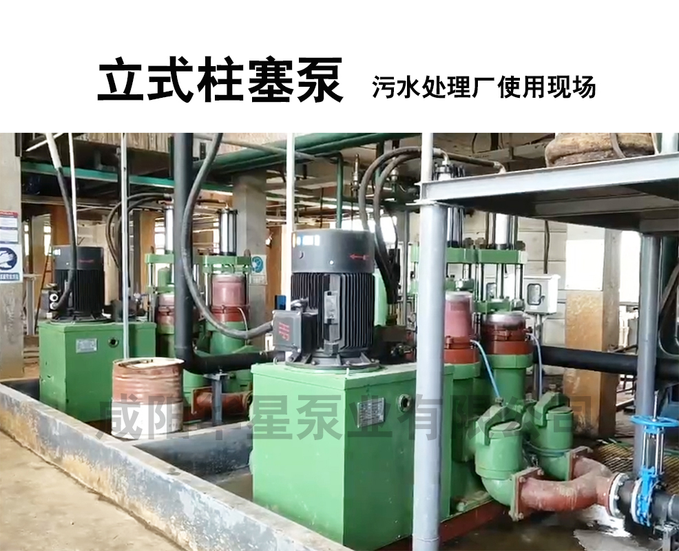 立式柱塞泵污水處理廠使用現(xiàn)場(chǎng)